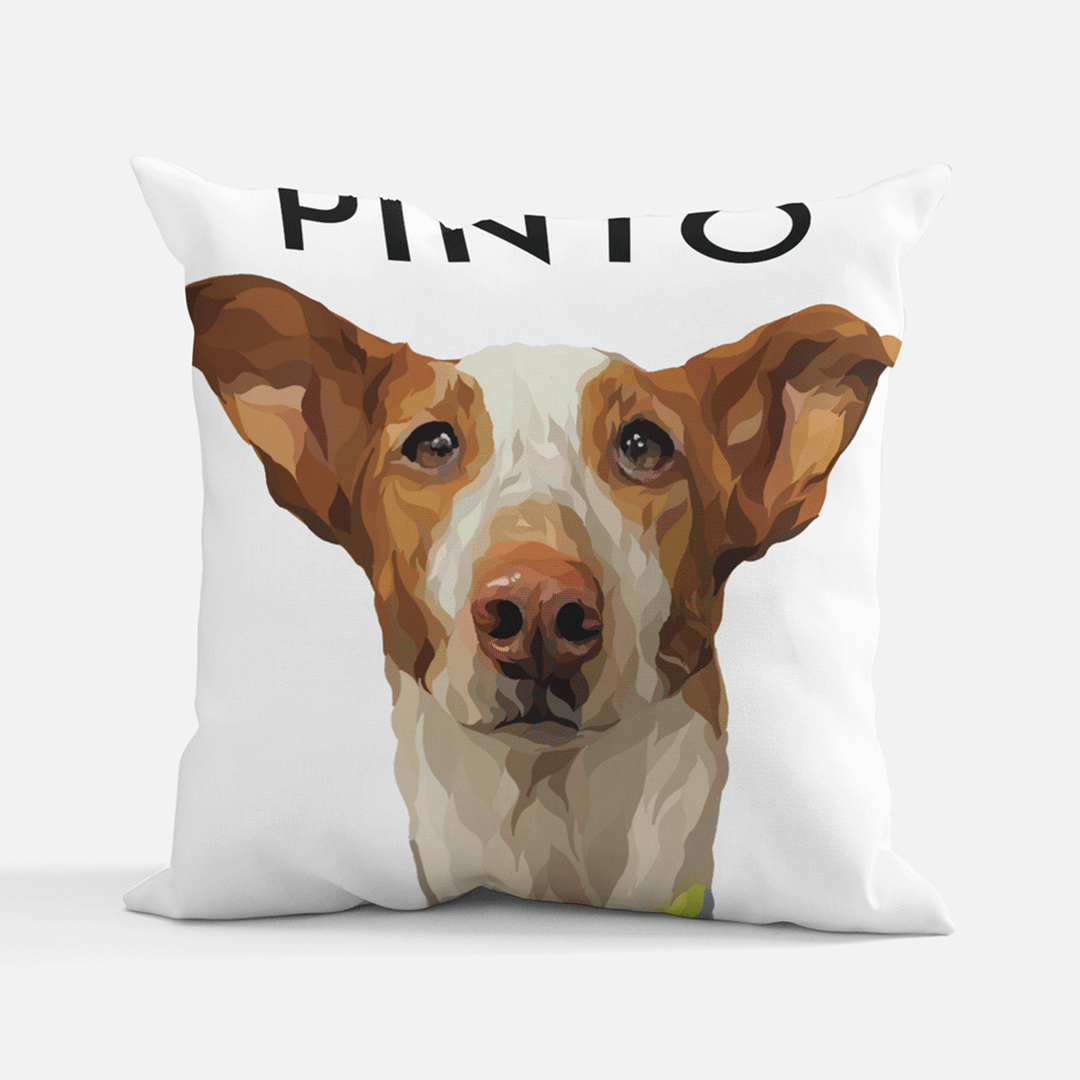 Pet fashion into pillow