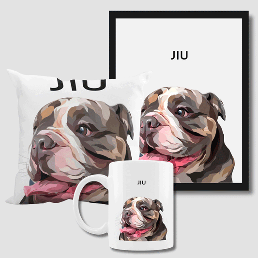 Portrait, Pillow & Mug