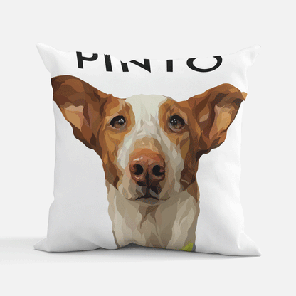 1 Pet Pillow Case