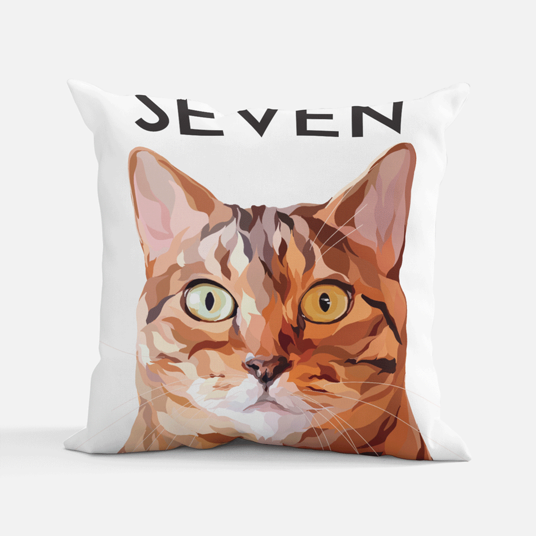 1 Pet Pillow Case