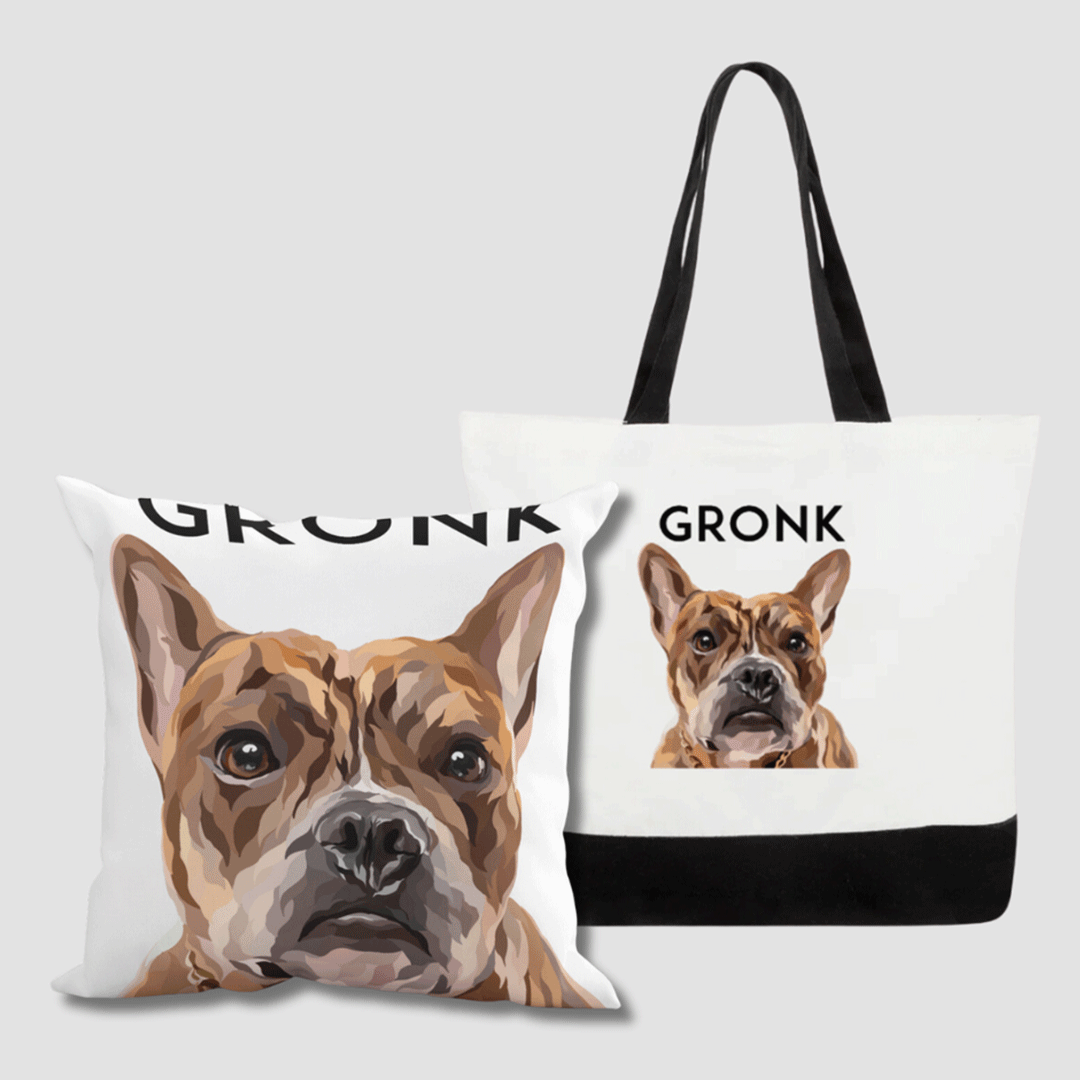 Pillow & Tote Bag